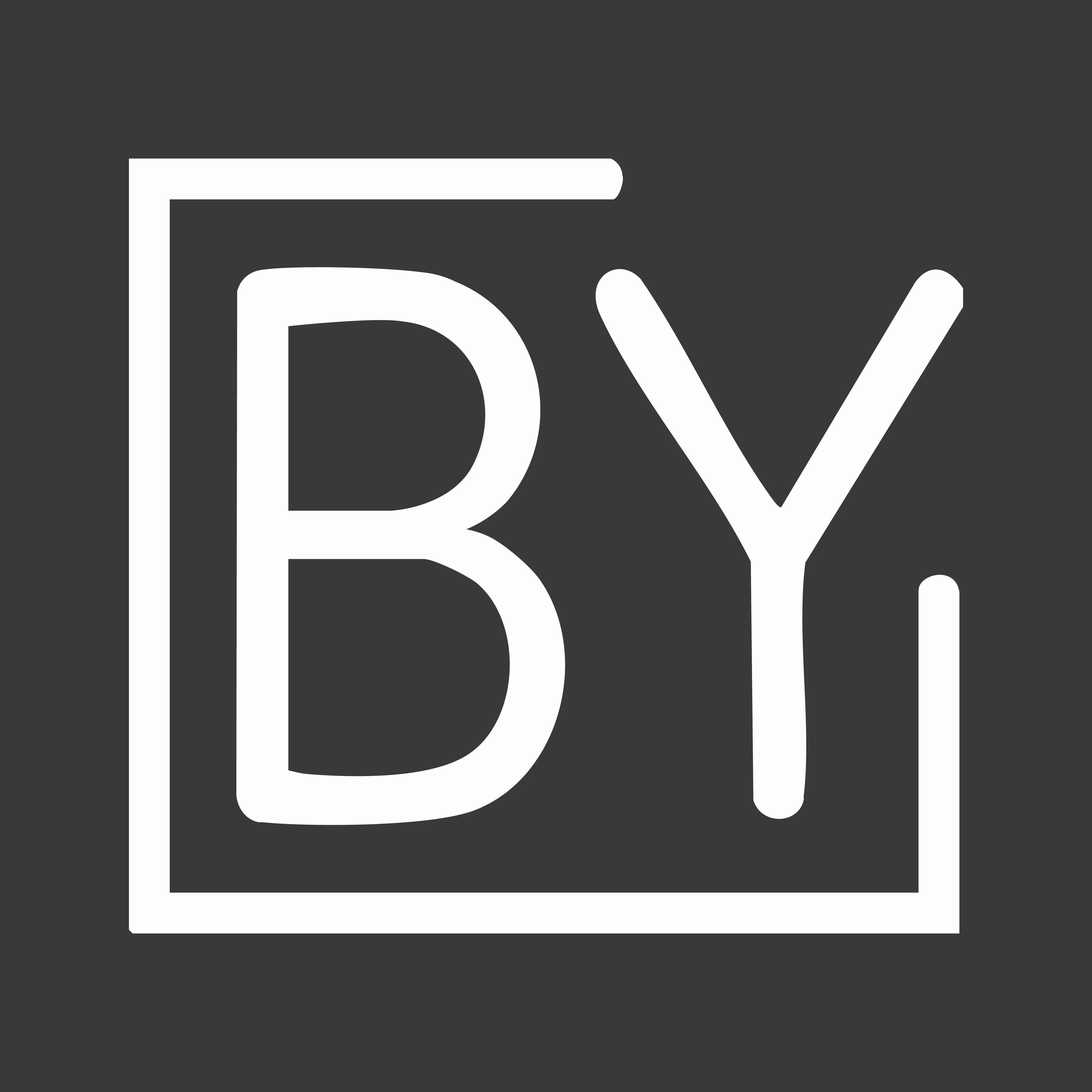BY Venture Partners